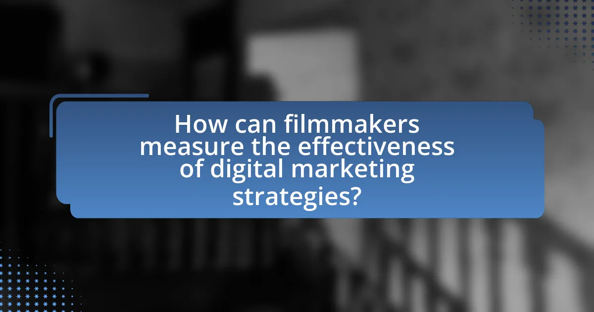 How can filmmakers measure the effectiveness of digital marketing strategies?